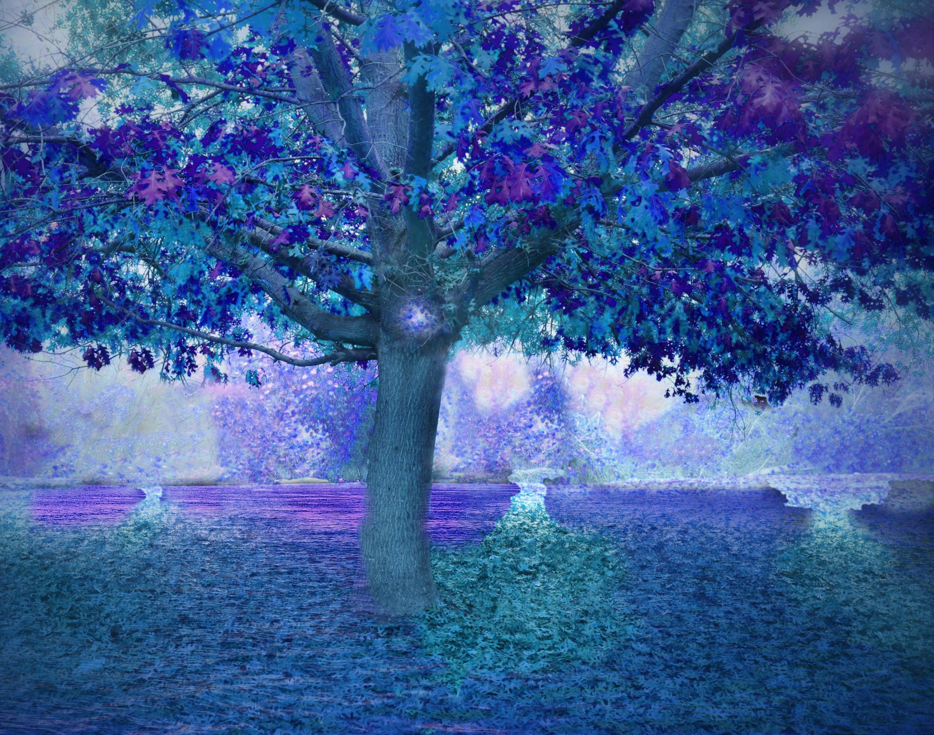 Magical Fairy Forest Dreamy Tree Art Whimsical Decor Magic Etsy