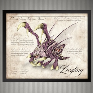 Starcraft Zergling Scientific Illustration Print - 8x10 inch