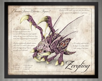 Starcraft Zergling Scientific Illustration Print - 8x10 inch