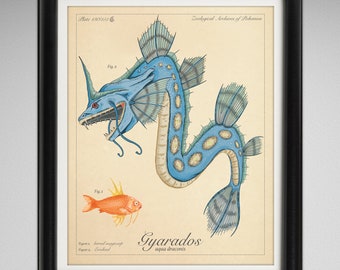 Gyarados - Vintage Style Pokemon Scientific Illustration (8x10 or 16x20 inches)