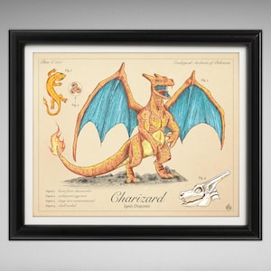 Glurak - Vintage Style Pokemon Wissenschaftliche Illustration (20x25cm oder 40x50cm)
