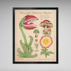 Flora of the Mushroom Kingdom - Vintage Style Mario Scientific Illustration (8x10 or 16x20 inches)
