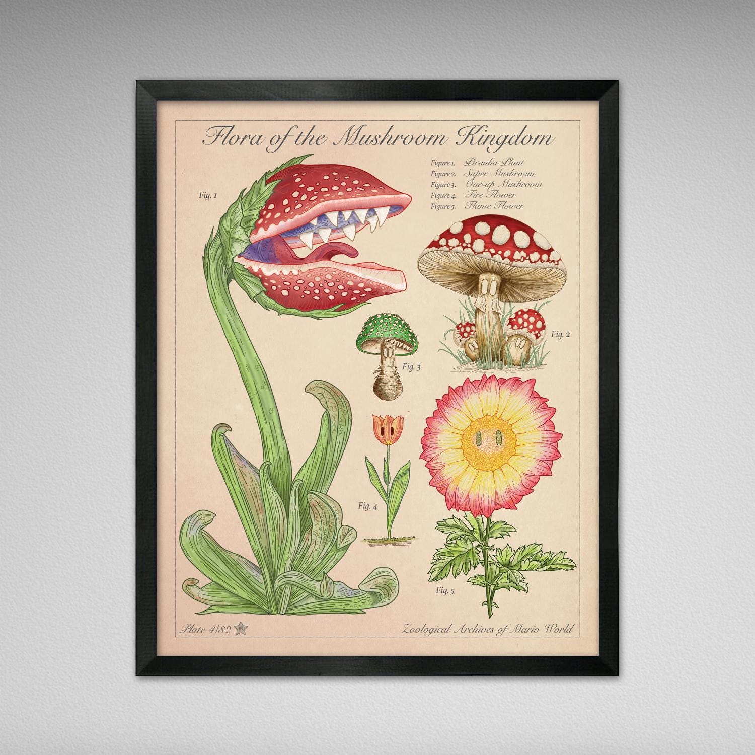 Flora of the Mushroom Kingdom - Vintage Style Mario Scientific Illustration (8x10 or 16x20 inches)