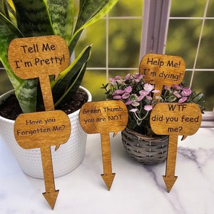 Funny Wood Plant Stakes: Pun Garden Markers, Set of 5