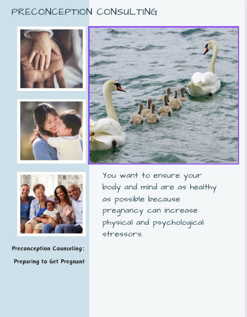 Ultimate Preconception Roadmap: Education, Consultation, and Planning ...