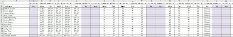Multi week Schedule on Excel Template Simple Automatic Easy Entry