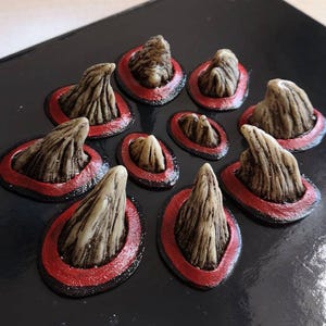 May include: Nine small, pointed, beige-colored horns with a rough texture are arranged in a circle on a black surface. Each horn is surrounded by a red ring.