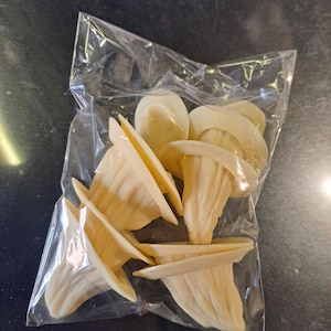 May include: A close-up of a plastic bag filled with several off-white dog chew toys shaped like cones. The toys are made of a textured material and are designed to help clean teeth and freshen breath.
