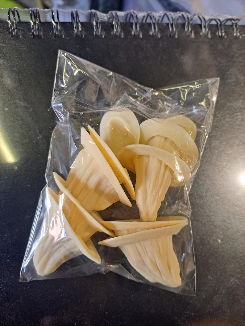 May include: A close-up of a plastic bag filled with several off-white dog chew toys shaped like cones. The toys are made of a textured material and are designed to help clean teeth and freshen breath.