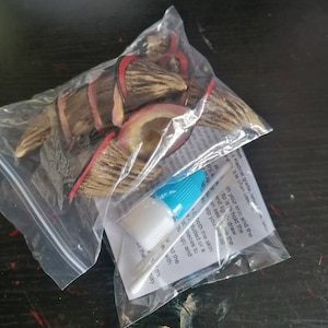 May include: A clear plastic bag containing a set of fake animal teeth, a small bottle of glue, and a cotton swab. The teeth are brown and have a red stripe around the base. The glue bottle is blue and white. The cotton swab is white.