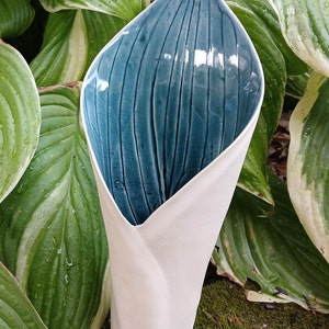 May include: A ceramic vase with a white exterior and a teal blue interior. The interior has vertical lines. The vase is in the shape of a calla lily. The vase is surrounded by green leaves.