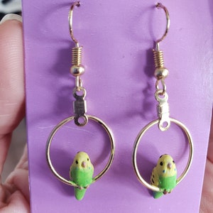 Green and yellow parakeet budgie on a perch earrings