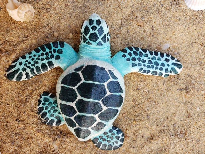 Cute green baby sea turtle handmade lifesized polymer clay Etsy