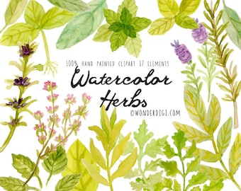 Clipart de acuarela real: hierbas de acuarela pintadas a mano