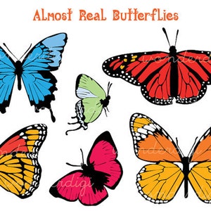Butterflies Clip Art  - Butterfly Clipart