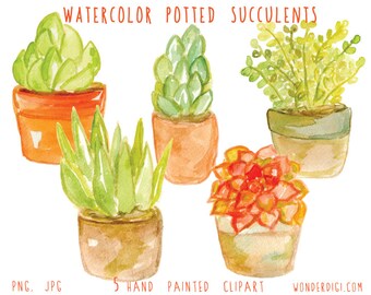 Hand-Painted Watercolor Succulent Clipart (PNG & JPG)