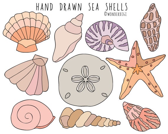 Sea Shells clipart Hand Drawn Clip Art Beach Clipart Shells | Etsy