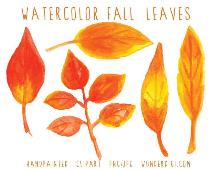 Real Watercolor Clipart -hand Painted Watercolor Fall Leaves - Autumn ...