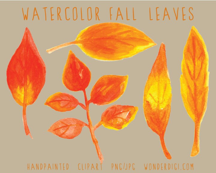 Real Watercolor Clipart -hand Painted Watercolor Fall Leaves - Autumn ...