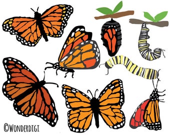 Butterfly Clipart - Monarch Butterflies Clip Art - Hand drawn clipart