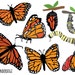 see more listings in the Clipart Sets section