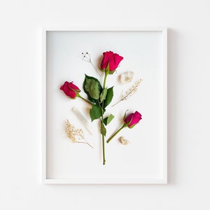 Red Rose Print, Rose Fine Art Print, Rose Wall Art, Floral Wall Art Print, Modern Shabby Chic Decor, Minimalist Decor, Flower Photography