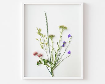 Colorado Wildflower Photography Print - Foraged Wildflower Bouquet Print - Minimalist Flat Lay - Floral Print on White Background