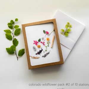 All Occassion Colorado Wildflower Note Cards Variety Pack #2 - Set of 10 - Wildflowers Blank Notecard Set Gift for Her, Floral Stationary