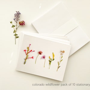Paquete variado de 10 tarjetas con notas de flores silvestres de Colorado para toda ocasión: flores silvestres, juego de tarjetas con notas, regalo para ella, papelería floral, tarjetas en blanco