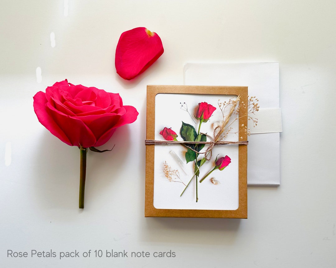 All Occassion Rose Petals Variety Pack - Set of 10 - Rose Themed Blank ...