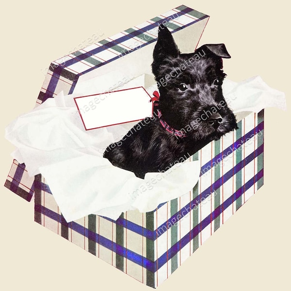 SCOTTIE DOG Scottish Terrier DIGITAL Download Puppy in a Gift Box Printable Cute Black Canine to Frame or Crafting Scrapbooking