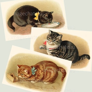 GATOS GATITOS 3 Imágenes DESCARGA DIGITAL Mermelada de naranja Felinos negros y atigrados Imprimible Manualidades Diario basura Scrapbooking Tarjeta de felicitación