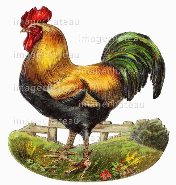 ROOSTER Rocking Paper Toy DIGITAL Download Stand Alone - Etsy