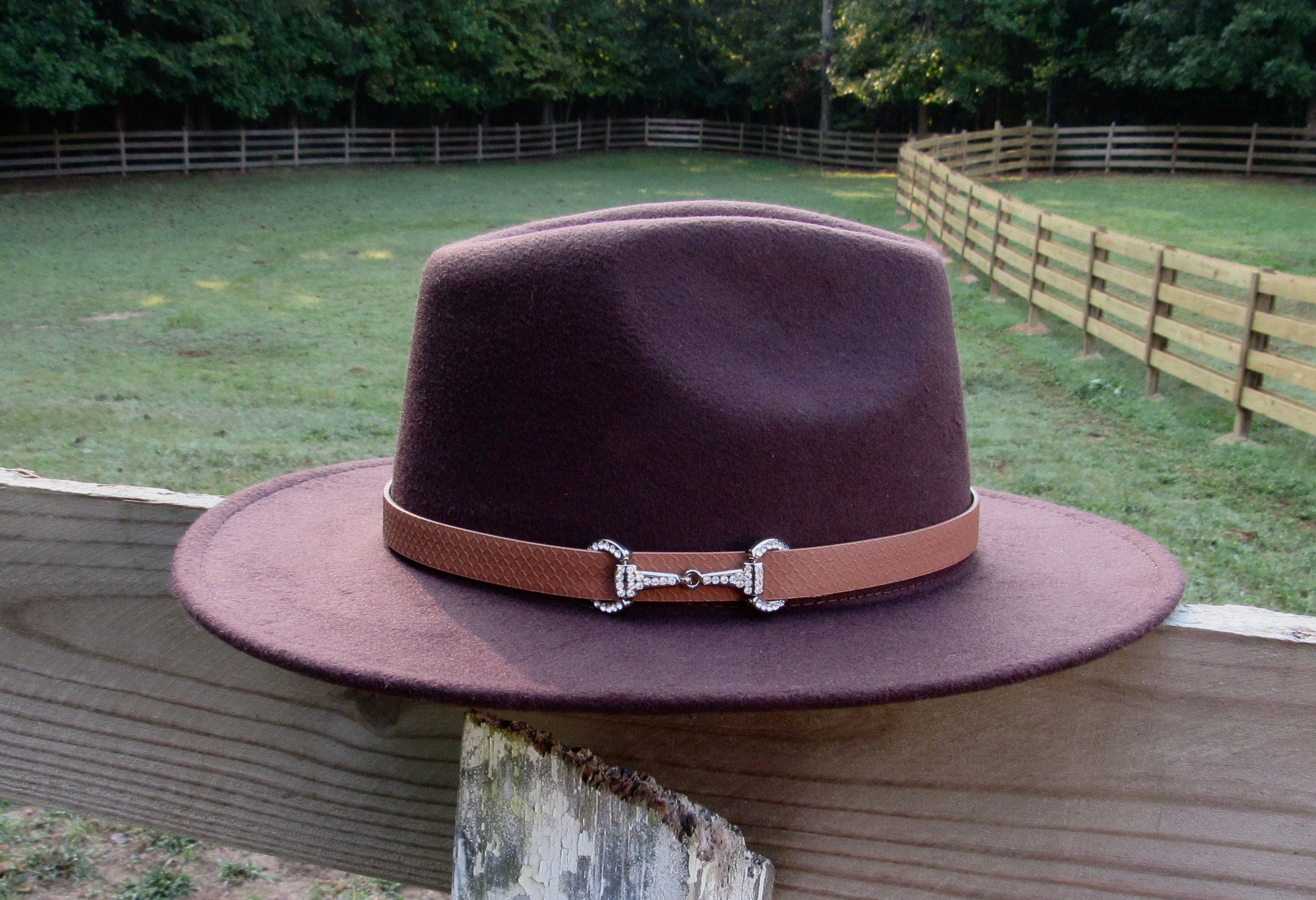 Hat With Bling Snaffle Bit - Fedora Hat - Equestrian Hat - Fashion ...