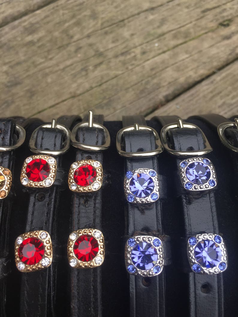 Spur Straps English Custom Austrian Crystal BLING Spur Straps Etsy