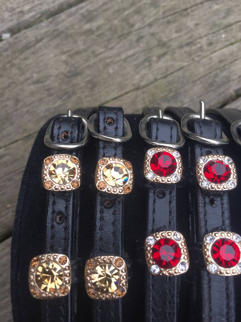 Spur Straps English Custom Austrian Crystal BLING Spur Straps Etsy