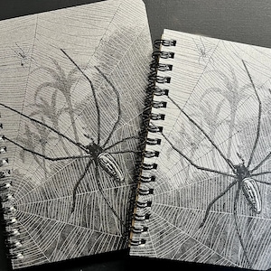 May include: Two spiral bound notebooks with a black and white spider web and spider design. The notebooks are different sizes.