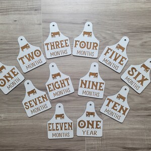 Set of 12 Baby Milestones - Cow Ear Tag - Western Theme