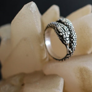 Könnte beinhalten: Ein silberner Ring mit Schlangenmuster. Der Ring hat einen detaillierten Schlangenkopf und -körper mit strukturierten Schuppen. Der Ring ist vor dem Hintergrund einer hellfarbigen, kristallinen Struktur mit dunklem Hintergrund platziert.