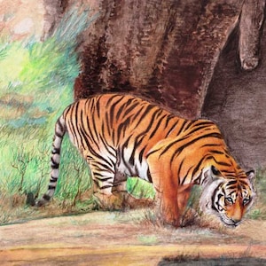 Dipinto di belle arti raffigurante la fauna selvatica, tigre reale indiana del Bengala, acquerello, decorazione per la casa, regalo, 14" x 8,5" pollici DIPINTO DI TIGRE