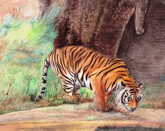 Fine Art Wildlife Painting of Indian Royal Bengal Tiger Water colour Home decor Gift 14&quot; x 8.5&quot; inches TIGER PAINTING