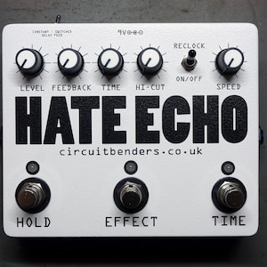 HATE ECHO - reclocked custom delay pedal with looping