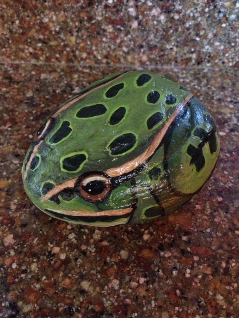 Leopard Frog Painted Rock Etsy