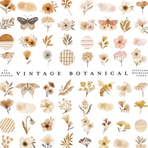 64 boho instagram story Highlight Icons Instagram Highlight Schmetterling Aquarell Vintage botanischer Herbst Herbst Blätter florale Blumen Clipart