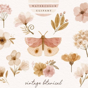 Schmetterlingsmotte Aquarell Clipart Vintage botanische Boho handbemalt Kinder Kinderzimmer Kinder Baby Blumen Pflanzen Boho ClipArt