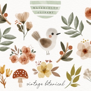 Aquarell Vogel Clipart Boho botanische handbemalt Kinder Kinder Kinder Baby Blume Pflanzen Boho ClipArt