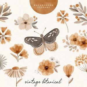 vlinder aquarel clipart vintage botanische boho hand geschilderde kinderen kinderdagverblijf kinderen baby bloem planten rustieke chique boho clip art