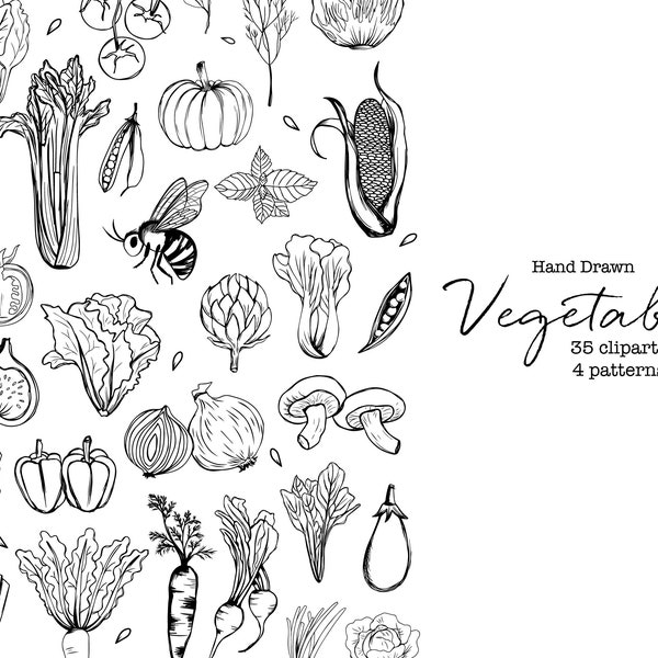 sketch vegetable clipart food illustration organic vegan hand drawn bee black and white pattern blog icon cooking recipe blog menu