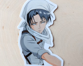 Cleaning Sticker Vinyl Waterproof Anime Manga Stickers