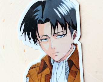 Sticker Waterproof Anime Manga Stickers Captain Dishwasher Safe